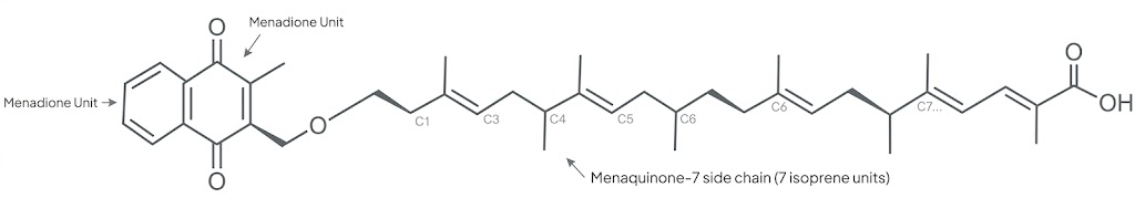 Vitamin K2 Menaquinone-7 MK-7 molecular structure — the superior long-acting form of K2 for bone and cardiovascular health in India